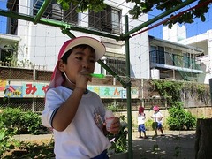 IMG_1126