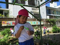 IMG_1127