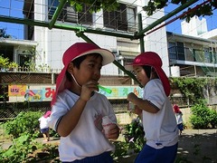 IMG_1128