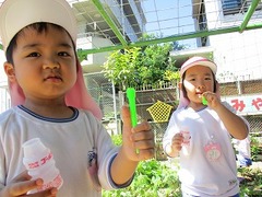 IMG_1129