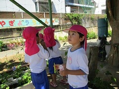 IMG_1130