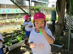 IMG_1131