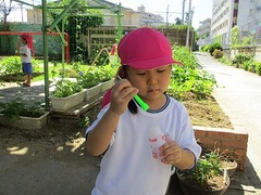 IMG_1137