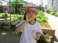 IMG_1138