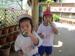 IMG_1145