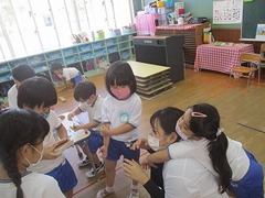 IMG_8552
