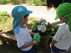 IMG_8579