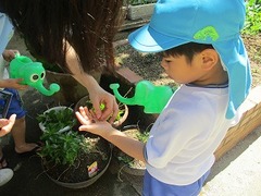 IMG_8580