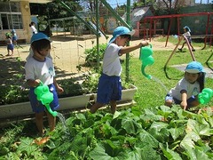 IMG_8582