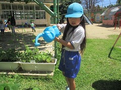 IMG_8584