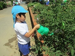 IMG_8586