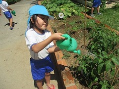 IMG_8587