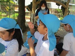 IMG_8594