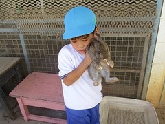 IMG_8595