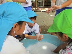IMG_8601