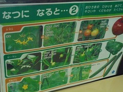 DSC01657