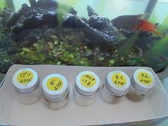 DSC01659