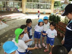 IMG_1081