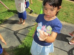 IMG_1092