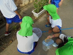 DSC01518