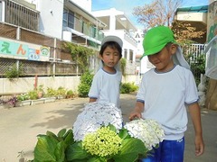 DSC01524