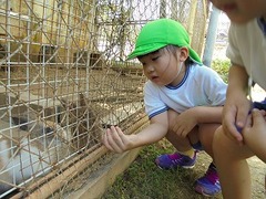 DSC01530
