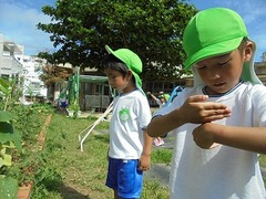 DSC01552