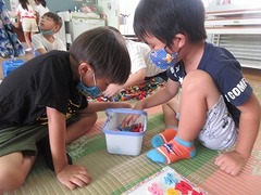 IMG_0942