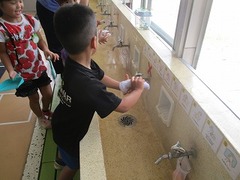 IMG_8501