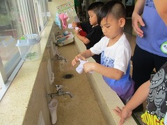 IMG_8505