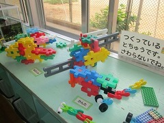 IMG_8520
