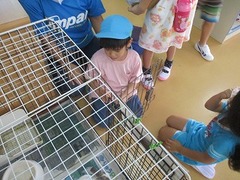IMG_8538
