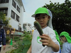 DSC01419