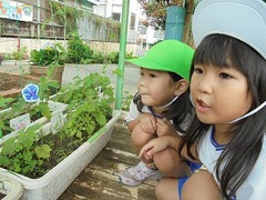 DSC01426