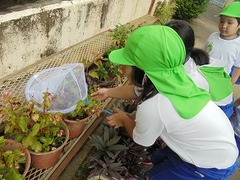 DSC01428