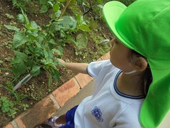 DSC01433