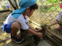 IMG_0868