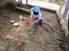 IMG_0870