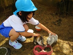 IMG_0871
