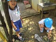 IMG_0874