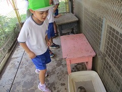 IMG_0876