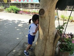 IMG_0882