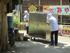 IMG_0887