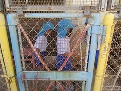 IMG_8409