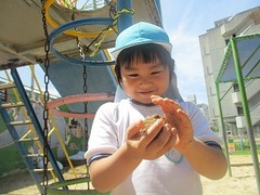 IMG_8421