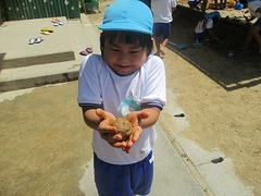 IMG_8423