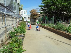 DSC01195