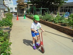 DSC01197