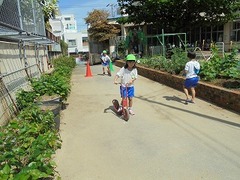 DSC01198