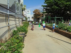 DSC01201